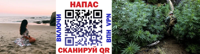 Каннабис сатива  хочу   Усть-Кут 